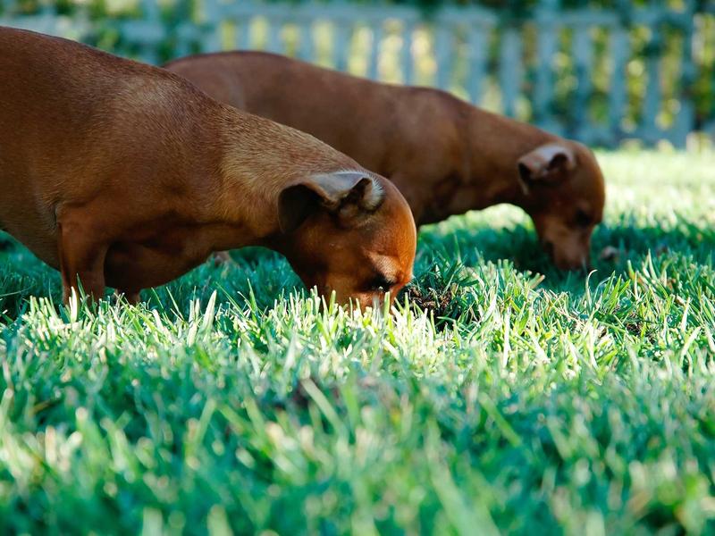 抽象表现主义<br>ujcbtdu.cn 波洛克滴画